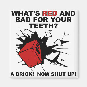 Red Brick Bad For Teeth Funny Fridge Magnet Quotes
