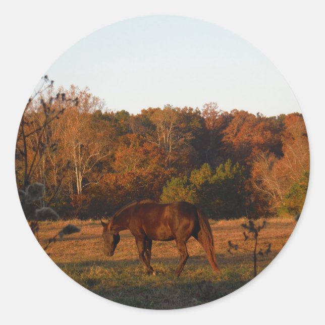 Red  Brown horse, autumn woods. Classic Round Sticker (Front)