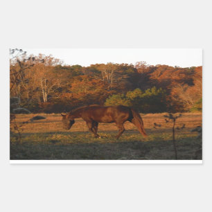 Red  Brown horse, autumn woods. Rectangular Sticker