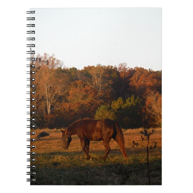 Red  Brown horse, autumn woods. Spiral Notebook (Front)