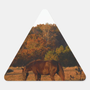 Red  Brown horse, autumn woods. Triangle Sticker