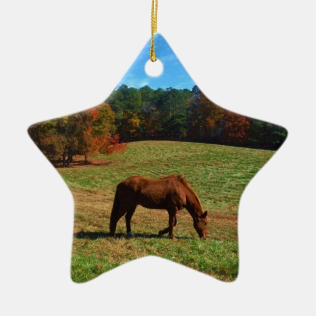 Red Brown horse, fall trees, blue skies Ceramic Tree Decoration (Front)