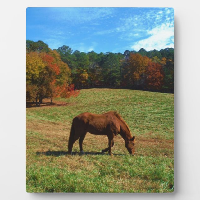 Red Brown horse, fall trees, blue skies Plaque (Front)