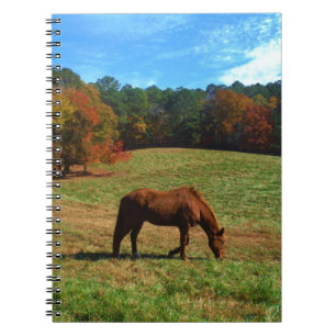 Red Brown horse, fall trees, blue skies Spiral Notebook
