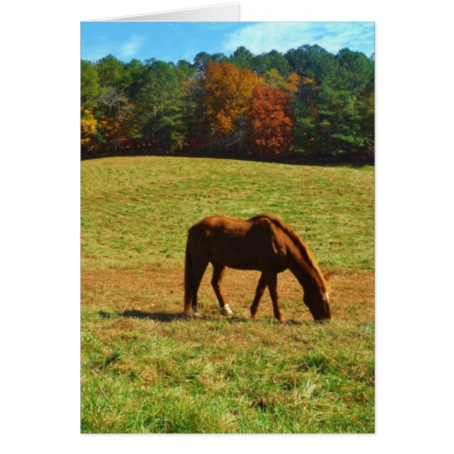 Red Brown horse in the  autumn trees (Front)