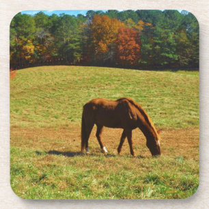 Red Brown horse in the autumn trees Coaster