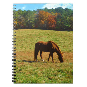 Red Brown horse in the  autumn trees Spiral Notebook