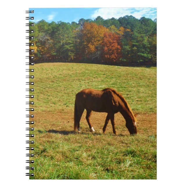 Red Brown horse in the  autumn trees Spiral Notebook (Front)