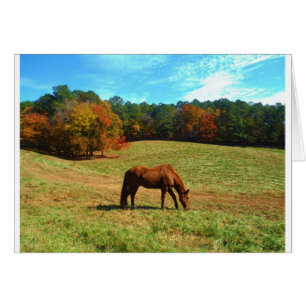Red  Brown horse, Teal Blue sky