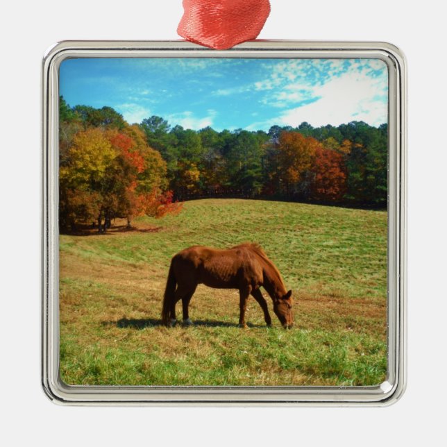 Red  Brown horse, Teal Blue sky Metal Tree Decoration (Front)