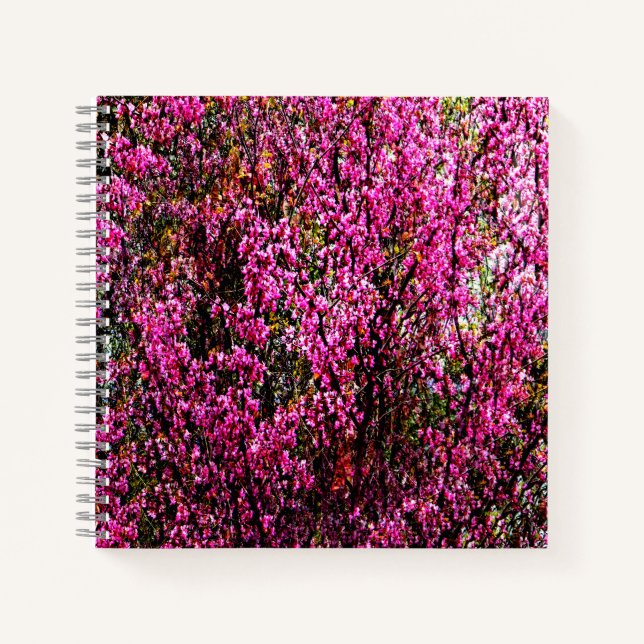 Red bud flowers....... notebook (Front)