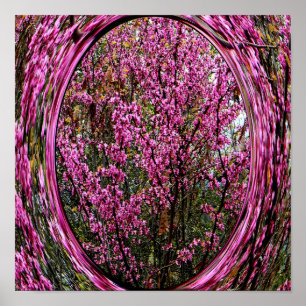 Red Bud tree.... Poster