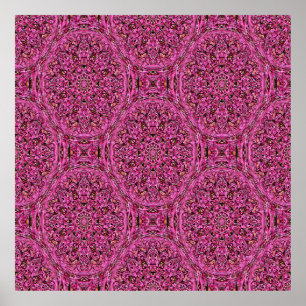 Red Buds Flowering..... Poster