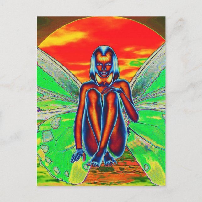 Red butterfly  Sunset Postcard (Front)