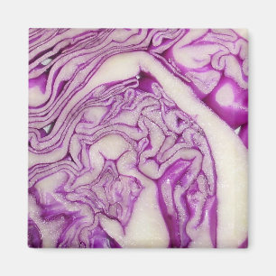 Red cabbage magnet