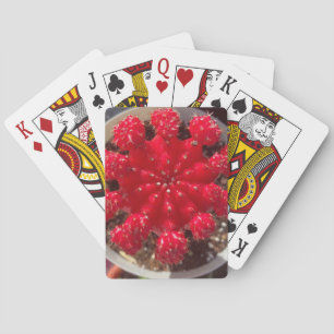 Red Cactus Blossom Top Garden Playing Cards
