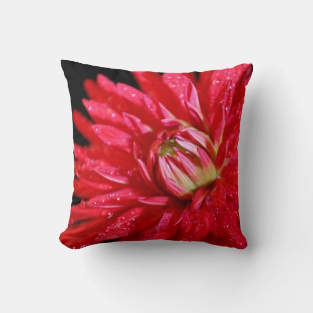 Red Cactus Dahlia Cushion (Front)