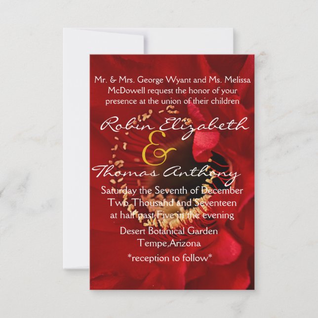 Red Cactus flower in bloom Invitation (Front)