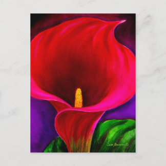 Red Cala Lily Flower Painting Art - Multi Postcard