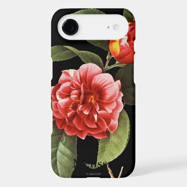 Red Camellia, 1833 Case-Mate iPhone Case (Back)