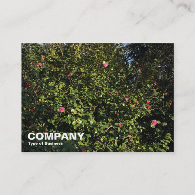 Red Camellia Bush Business Card (Front)
