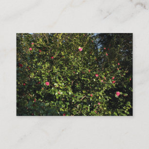 Red Camellia Bush Business Card