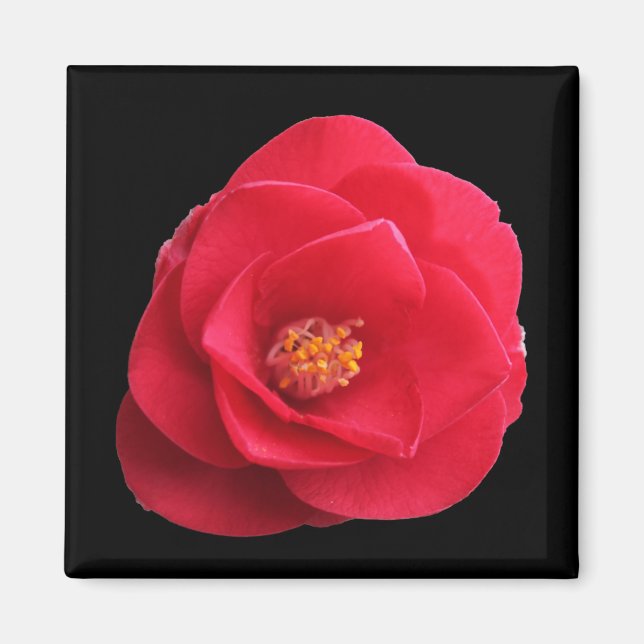 red camellia flower magnet (Front)