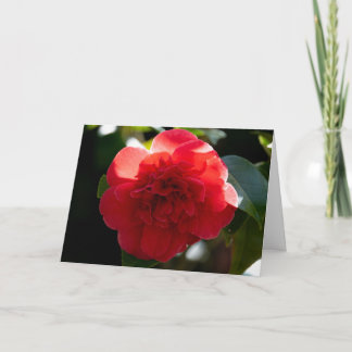 Red Camellia Merry Christmas Greeting Card