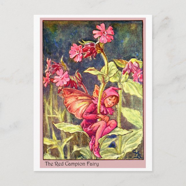 Red Campion Fairy Postcard (Front)