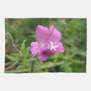 Red Campion Wildflower Kitchen Towel