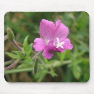 Red Campion Wildflower Mousepad