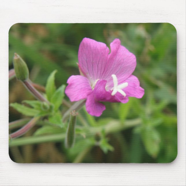 Red Campion Wildflower Mousepad (Front)