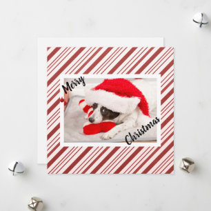Red Candy Cane Stripe Photo Greeting  Holiday Card