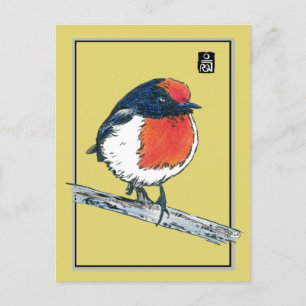 Red-Capped Robin Bird Postcard