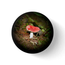 Red Capped Russula Mushroom