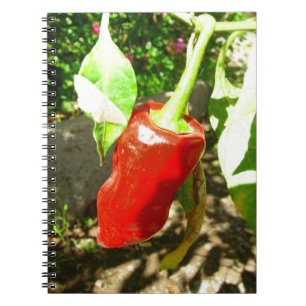 Red Capsicum Notebook
