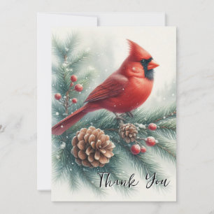 Red Cardinal Bird and Pine  Thank You Card