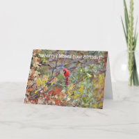 Red Cardinal Bird Belated Missed Birthday Card