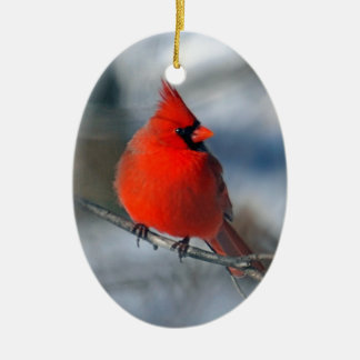 Red Cardinal Bird Ceramic Tree Decoration