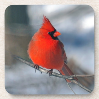 Red Cardinal Bird Coaster