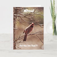 Red Cardinal Bird Funny Belated Birthday Card