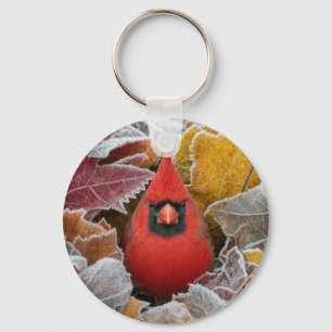 Red Cardinal Bird in Frosty Autumn Leaves Key Ring