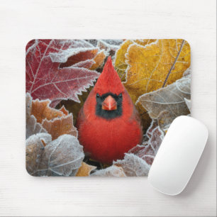 Red Cardinal Bird in Frosty Autumn Leaves Mouse Pad