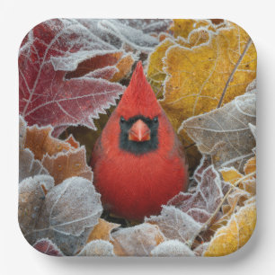 Red Cardinal Bird in Frosty Autumn Leaves Paper Plate