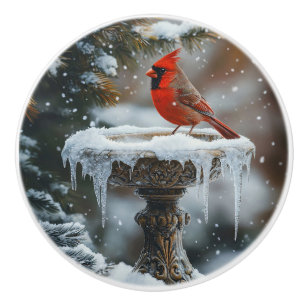Red Cardinal Bird on a Frozen Birdbath Art Ceramic Knob