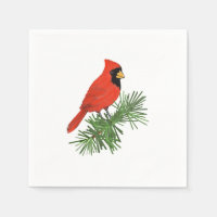 Red Cardinal Bird on Pine Tree