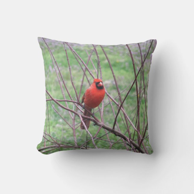 Red Cardinal Bird Outdoor Cushion (Front)