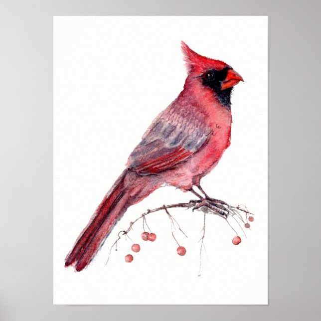 Red Cardinal Bird Poster (Front)