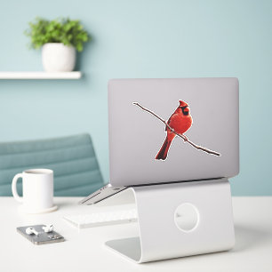 Red Cardinal Bird Sitting on Branch Sticker