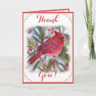 RED CARDINAL BIRD THANK YOU